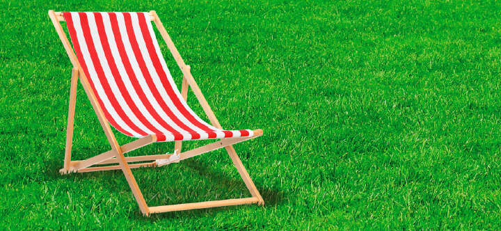 einstiegsbanner viva garden rasen rasenduenger garten